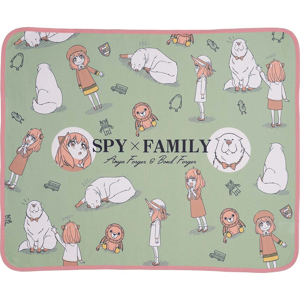 Ichiban Kuji: SPY×FAMILY ~Embark on a mission~